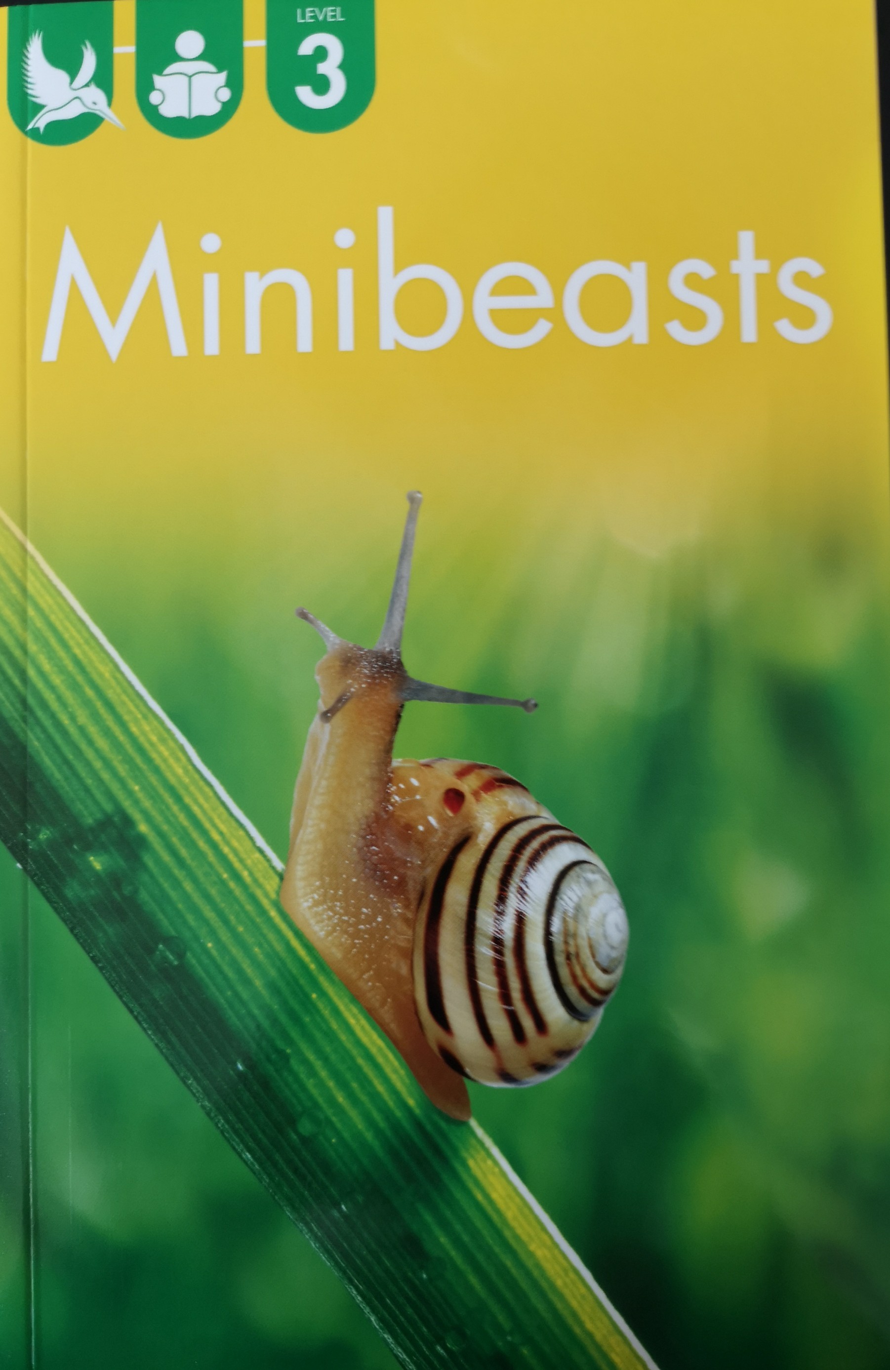 Minibeasts