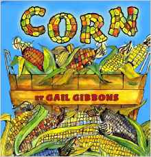 Corn