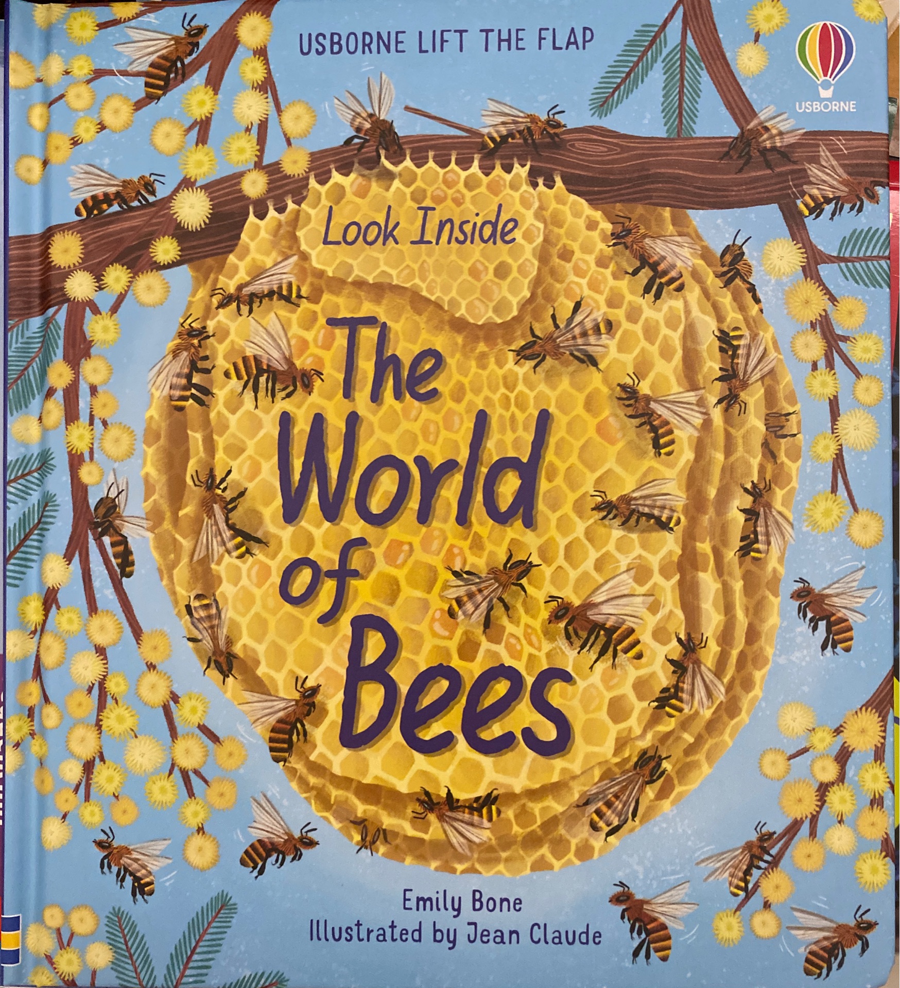 look inside the world of bees