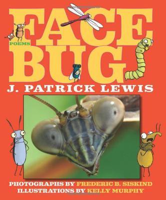 Face Bug