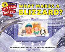 What Makes a Blizzard? (Let's-Read-and