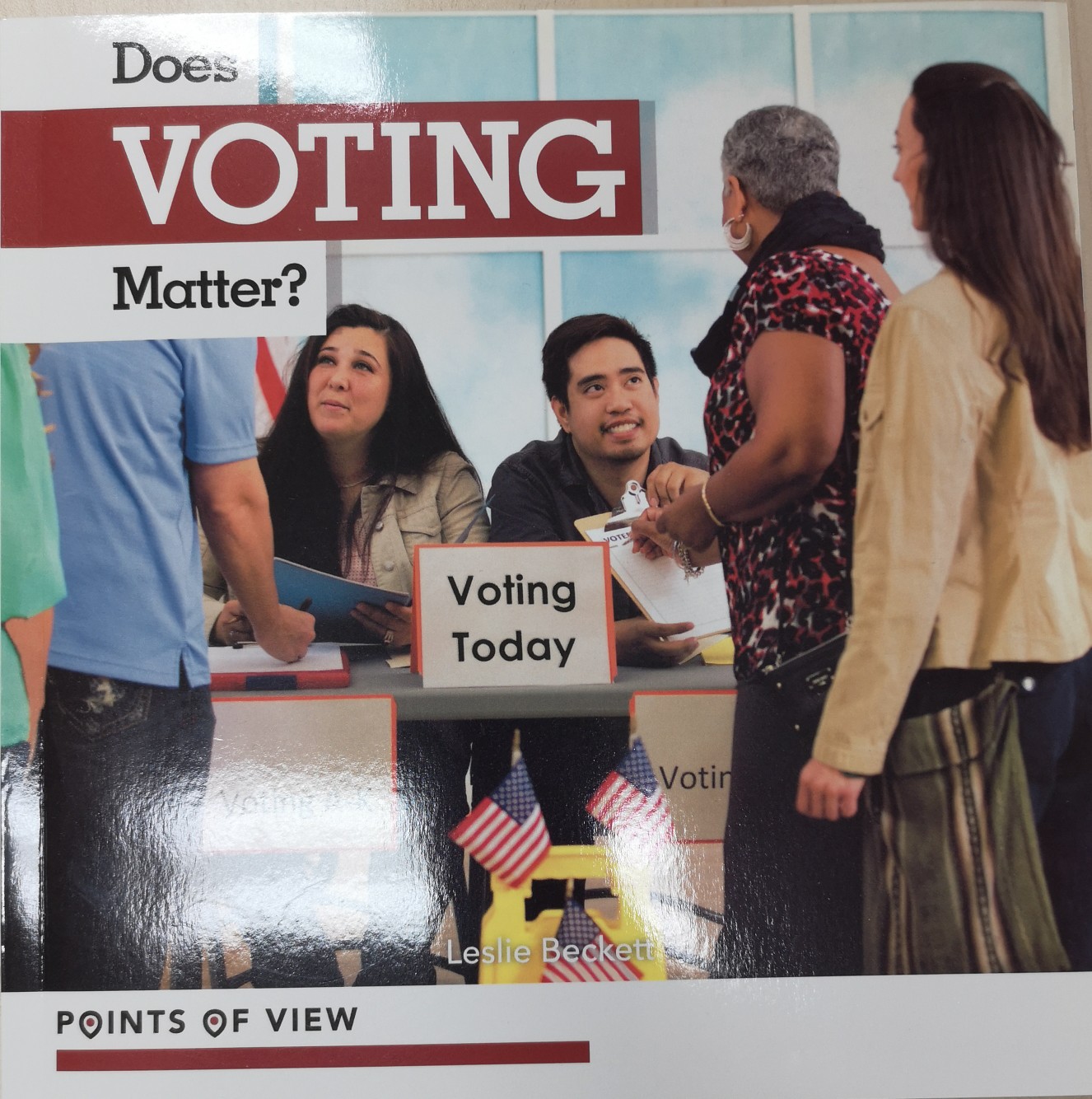 Does voting matter?