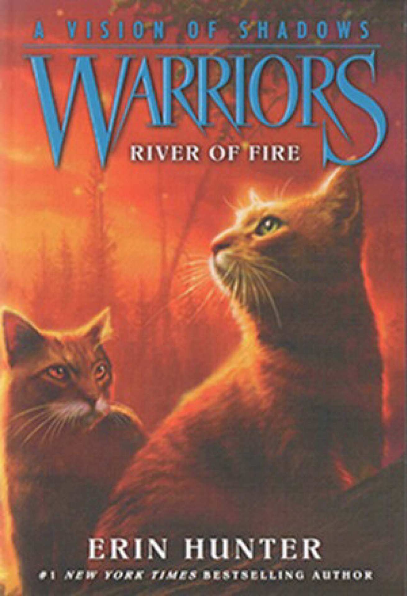 Warriors: A Vision of Shadows #5: Rive