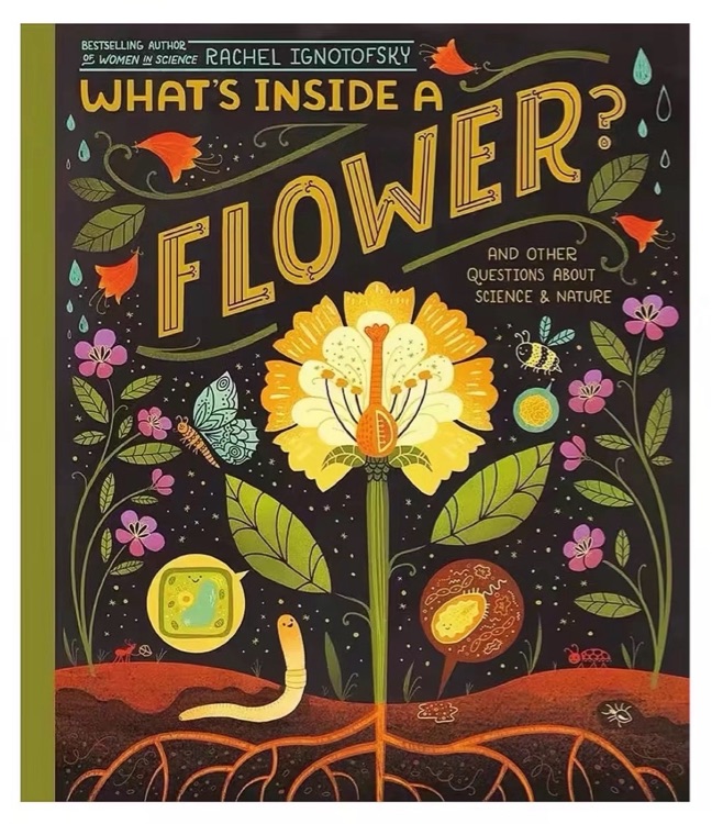 What's Inside A Flower?