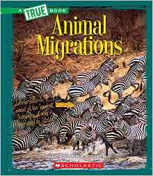 Animal Migrations (True Books: Amazing