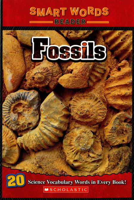 Smart Words Reader: Fossils
