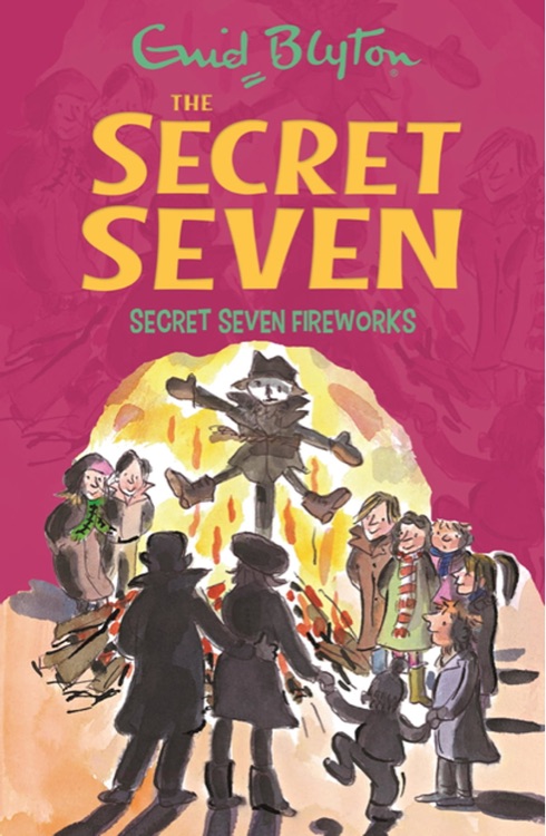 The Secret Seven #11: Secret Seven Fir
