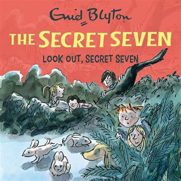 The Secret Seven #14: Look Out, Secret