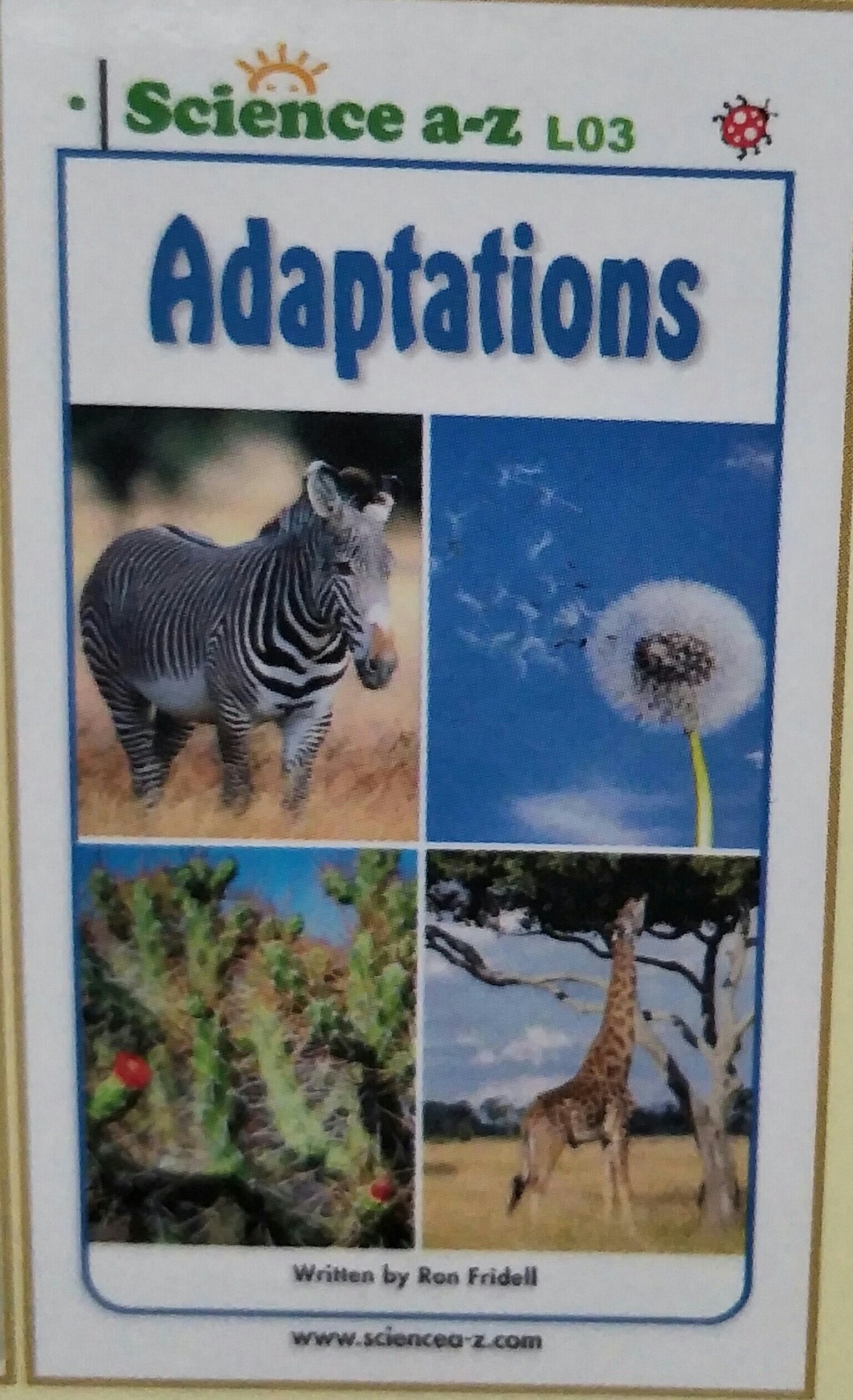 Adaptations-LOW