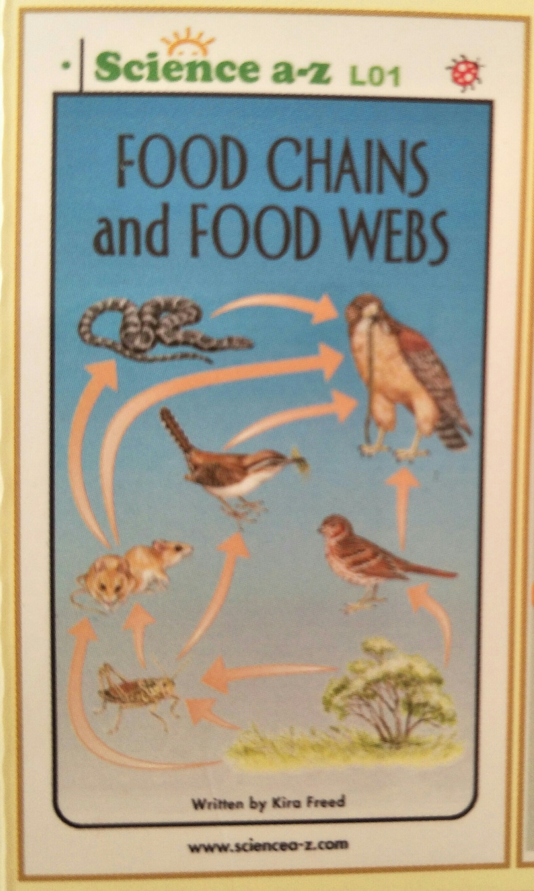 Food Chains and Food Web-Low