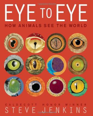 Eye to Eye: How Animals See The World