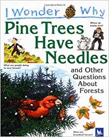 I Wonder Why Pine Trees Have Needles a