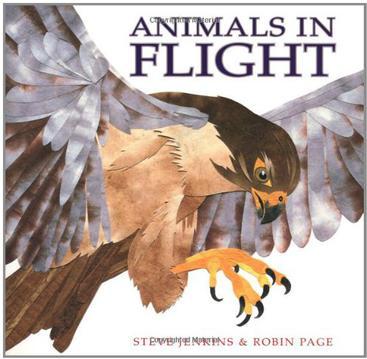 Animals in Flight