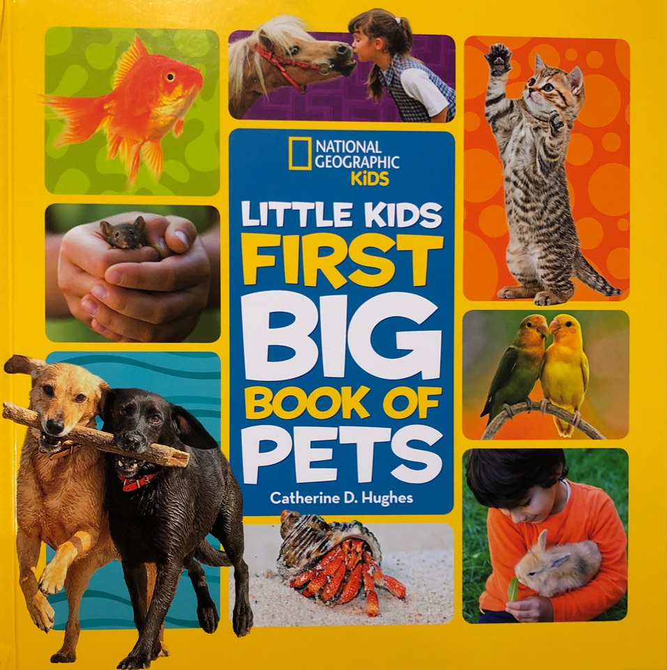 Little Kids First Big Book of Pets