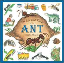 The Life and Times of the Ant