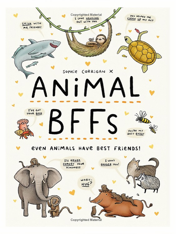 Animal BFFs: Even Animals Have Best Fr
