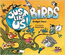 Just Like Us! Birds