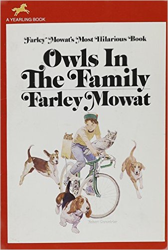 Owls in the Family
