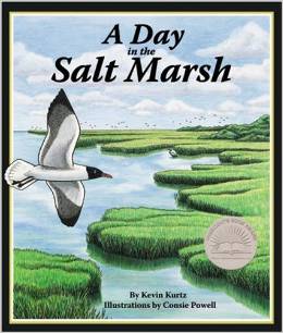 A Day in the Salt Marsh