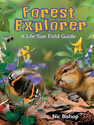 Forest Explorer: A Life-sized Field Gu
