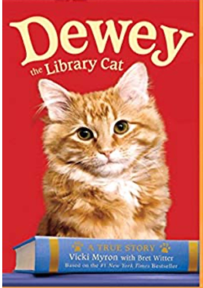 Dewey the Library Cat