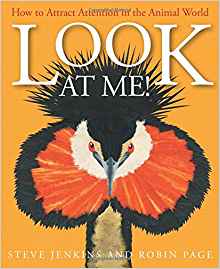 Look at Me!: How to Attract Attention 