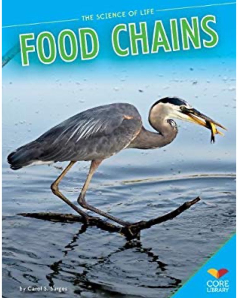 Food Chains (Science of Life)