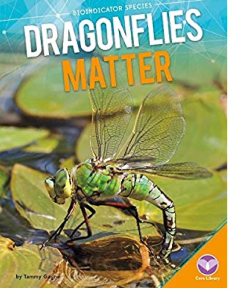 Dragonflies Matter (Bioindicator Speci