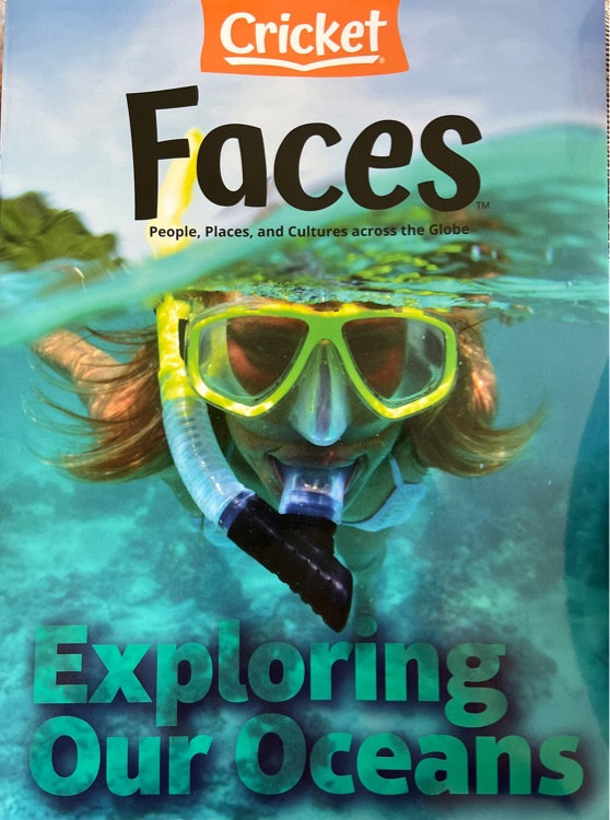 Faces(期刊杂志)