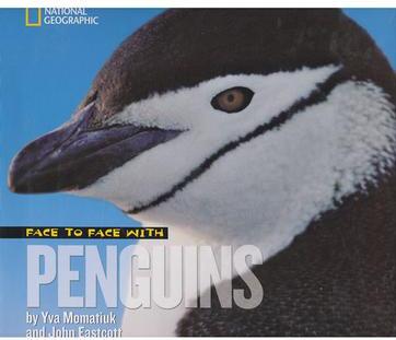 Face to Face with Penguins