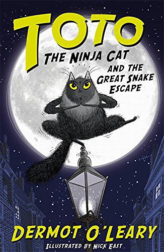 Toto the Ninja Cat and the Great Snake