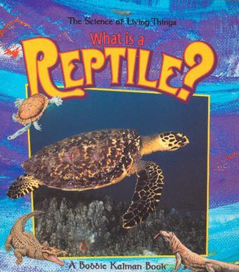 What is a Reptile