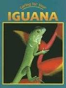 Caring for Your Iguana