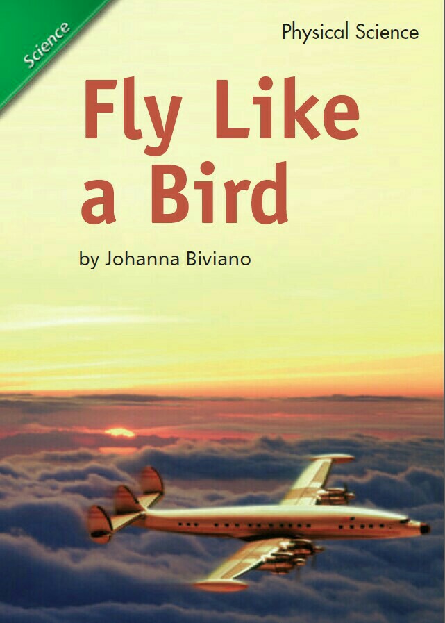 Fly Like a Bird