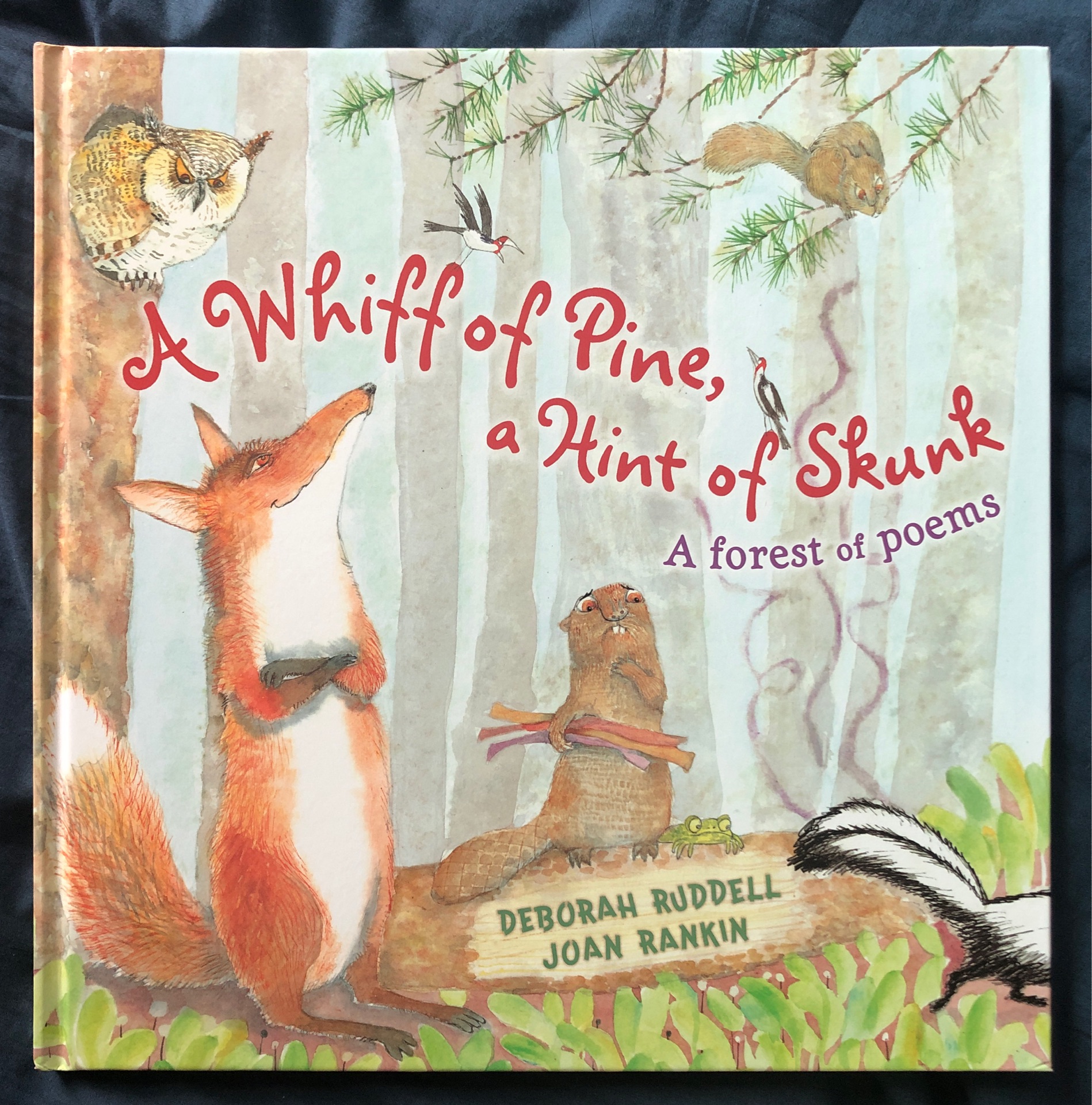 A whiff of pine, a hint of skunk