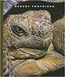 Desert Tortoises (The World of Reptile