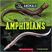 Fast and Slow: Amphibians (Wild World)