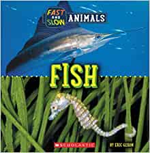 Fast and Slow: Fish (Wild World)