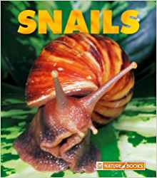 Snails (New Naturebooks)