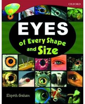Eyes of Every Shape and Size