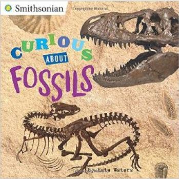 Curious about Fossils  [08--12]
