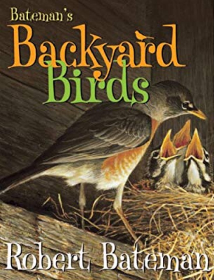 Bateman's Backyard Birds