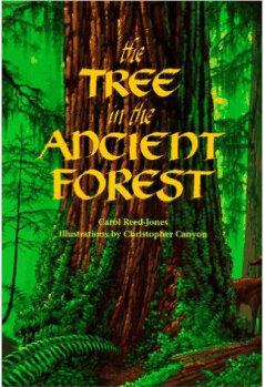 The Tree in the Ancient Forest  [05--0