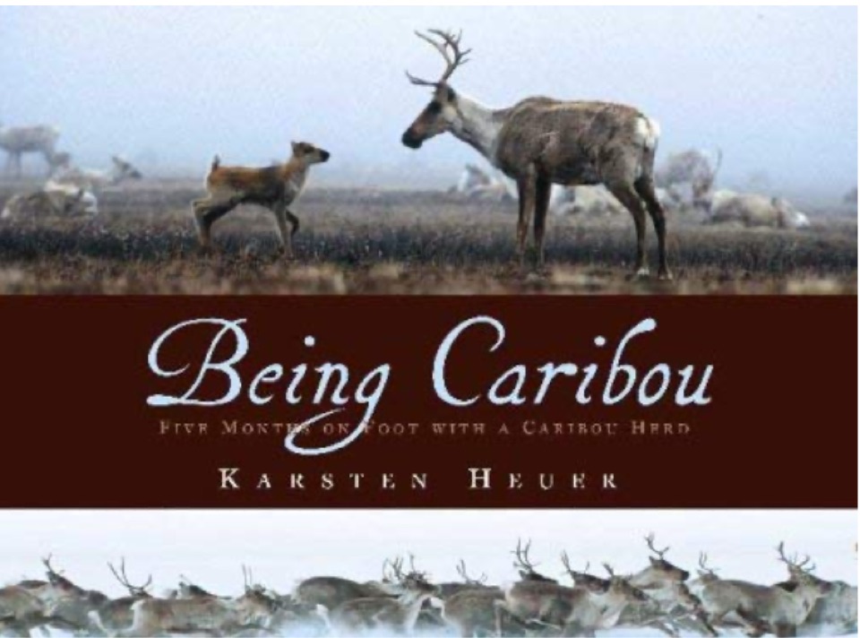 Being Caribou: Five Months on Foot wit