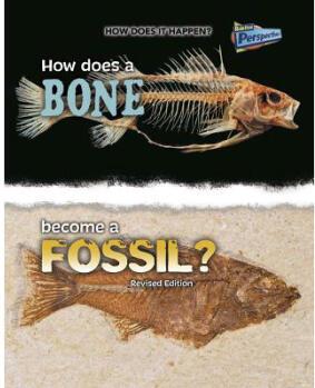 How Does a Bone Become a Fossil?