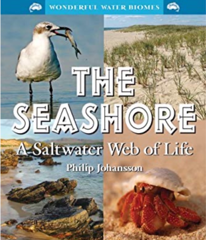 The Seashore: A Saltwater Web of Life 