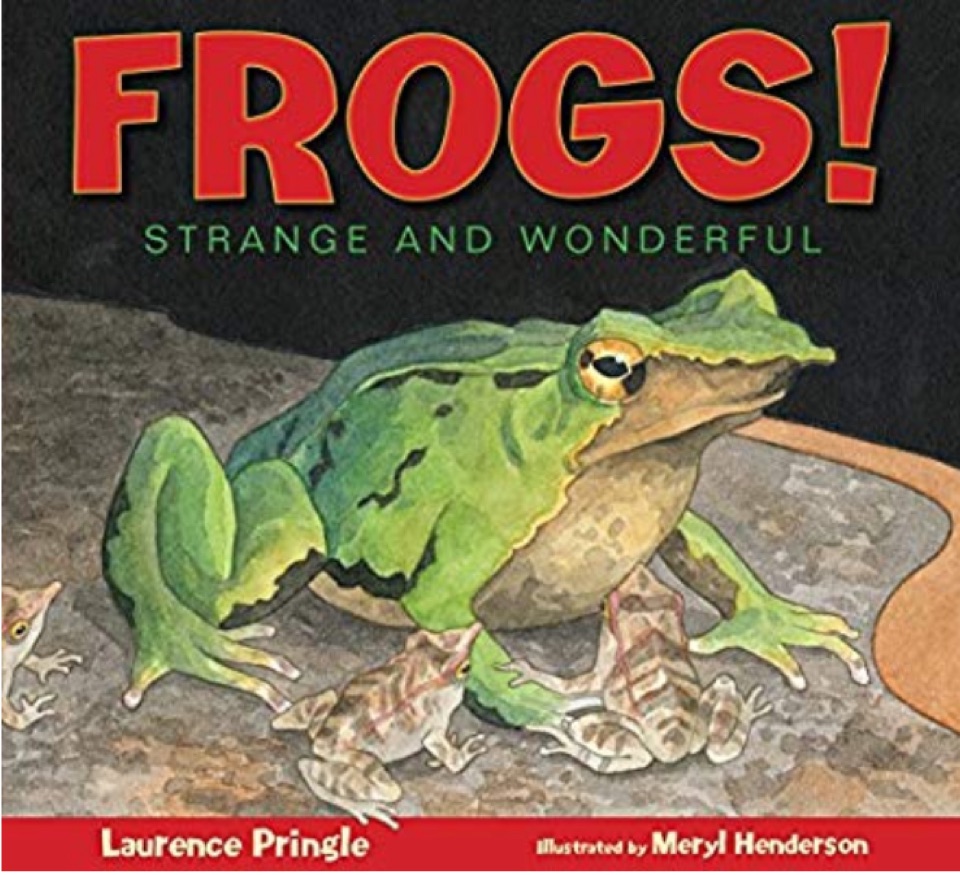 Frogs!: Strange and Wonderful