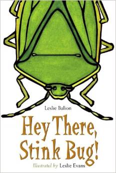 Hey There, Stink Bug!