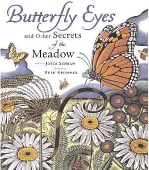 Butterfly Eyes and Other Secrets of th