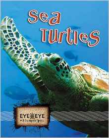 Sea Turtles (Eye to Eye with Endangere